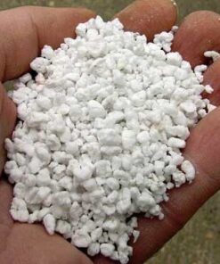 Saco Perlita PP8 (grano grande) 100 lt