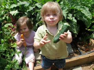 Aprenden a comer vegetales