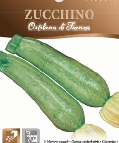 Semillas Ortovivo - Hortus Zapallo Italiano