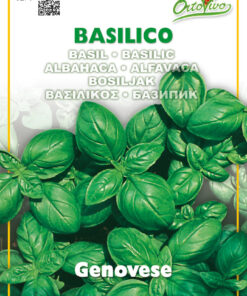 Semillas Ortovivo - Hortus Albahaca Genovesa Clásica