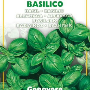 Semillas Ortovivo - Hortus Albahaca Genovesa Clásica