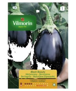 Semillas Vilmorin Berenjena