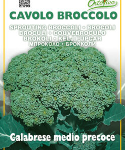 Semillas Ortovivo - Hortus Brócoli Calabrese Precoz