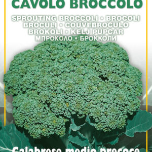 Semillas Ortovivo - Hortus Brócoli Calabrese Precoz