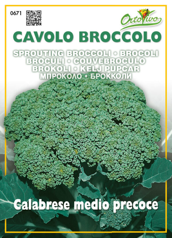 Semillas Ortovivo - Hortus Brócoli Calabrese Precoz