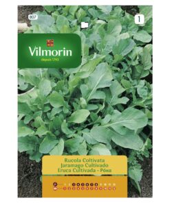 Semillas Vilmorin Rúcula Cultivada