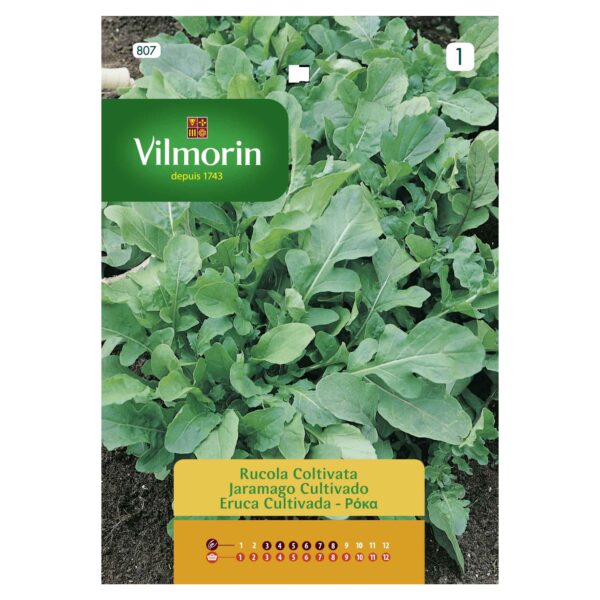 Semillas Vilmorin Rúcula Cultivada