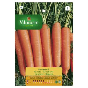 Semillas Vilmorin Zanahoria Nantesa 3