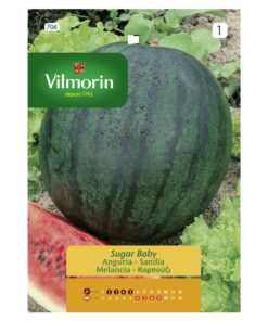 Semillas Vilmorin Sandia Sugar Baby