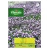 Semillas Vilmorin Flores Aliso Violeta