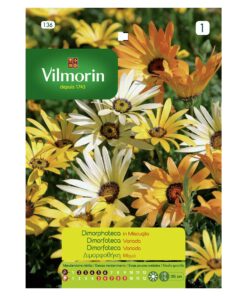 Semillas Vilmorin Flores Dimorfoteca Variada