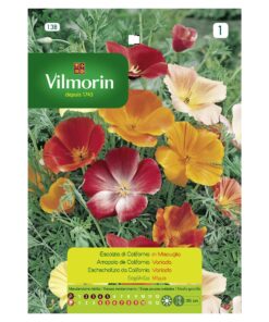 Semillas Vilmorin Flores Amapola de California - Dedal de Oro