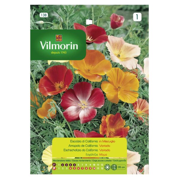 Semillas Vilmorin Flores Amapola de California - Dedal de Oro