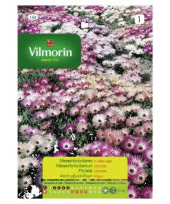 Semillas Vilmorin Flores Ficoide Variada - Tapiz Mágico