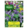 Semillas Vilmorin Flores Viola Olorosa