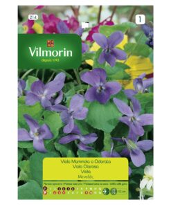 Semillas Vilmorin Flores Viola Olorosa