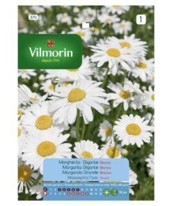 Semillas Vilmorin Flores Margarita Gigante Blanca