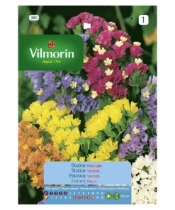 Semillas Vilmorin Flores Estatice Variado