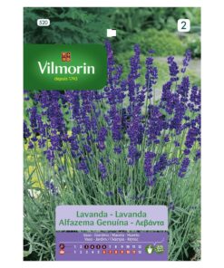 Semillas Vilmorin Flores Lavanda