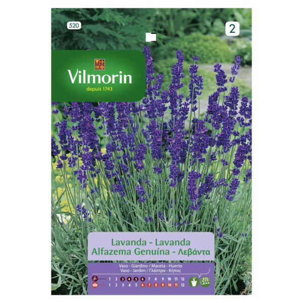 Semillas Vilmorin Flores Lavanda