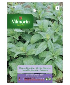 Semillas Vilmorin Menta Piperita