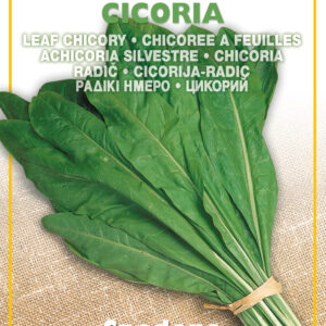 Semillas Ortovivo - Hortus Achicoria de Spadona - Radichetta