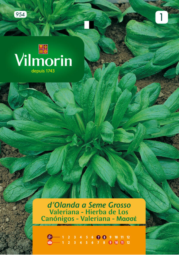 Semillas Vilmorin Canónigo o Valeriana