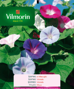 Semillas Vilmorin Flores Ipomea - Suspiro Variado