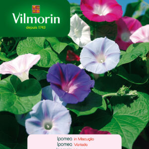 Semillas Vilmorin Flores Ipomea - Suspiro Variado