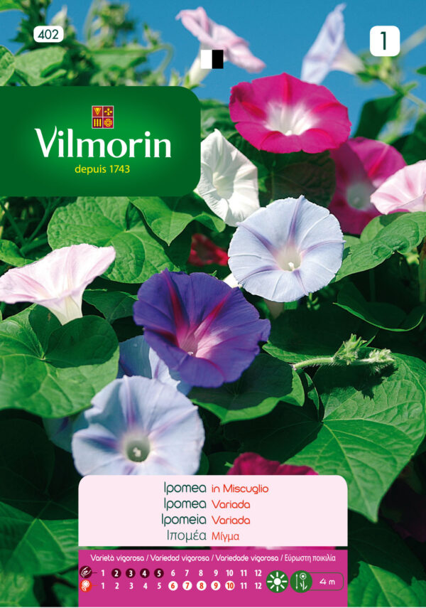 Semillas Vilmorin Flores Ipomea - Suspiro Variado
