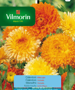 Semillas Vilmorin Flores Caléndula Variada