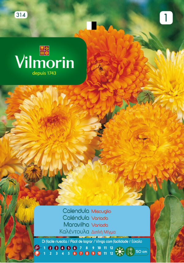 Semillas Vilmorin Flores Caléndula Variada