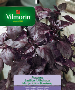 Semillas Vilmorin Albahaca Morada