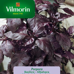Semillas Vilmorin Albahaca Morada