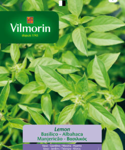 Semillas Vilmorin Albahaca Limón