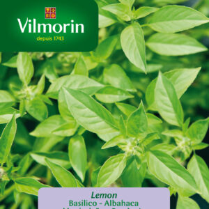 Semillas Vilmorin Albahaca Limón
