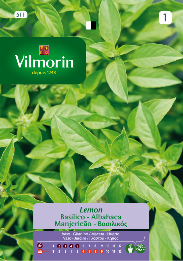 Semillas Vilmorin Albahaca Limón