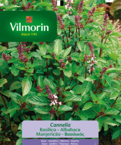 Semillas Vilmorin Albahaca Canela