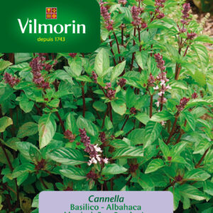 Semillas Vilmorin Albahaca Canela