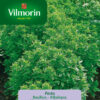 Semillas Vilmorin Albahaca Pesto
