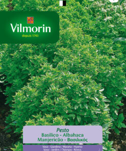 Semillas Vilmorin Albahaca Pesto