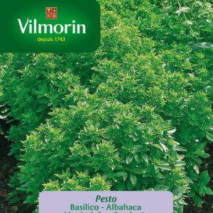 Semillas Vilmorin Albahaca Pesto