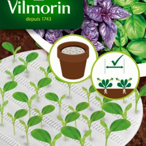 Semillas Vilmorin Albahaca en Discos de Germinación (Fácil siembra)