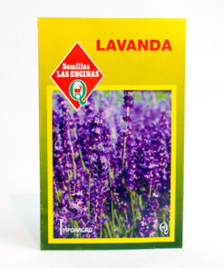 Semillas de Lavanda Las Encinas