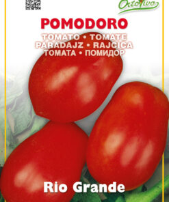 Semillas Ortovivo - Hortus Tomate Rio Grande (Conservero)