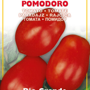 Semillas Ortovivo - Hortus Tomate Rio Grande (Conservero)