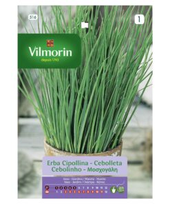 Semillas Vilmorin Ciboulette