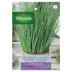 Semillas Vilmorin Ciboulette