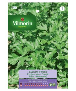 Semillas Vilmorin Perejil Gigante de Italia