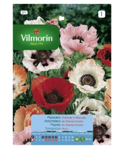 Semillas Vilmorin Flores Adormidera de Oriente Variada